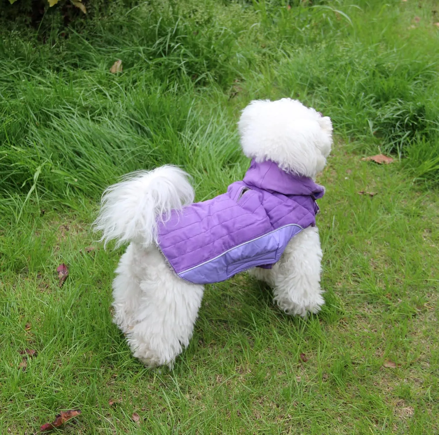 100% Polyester Dog Hoodie for Small Medium Dogs Super Warm Puppy Jacket for Cold Winter Dog Coats, Purple M