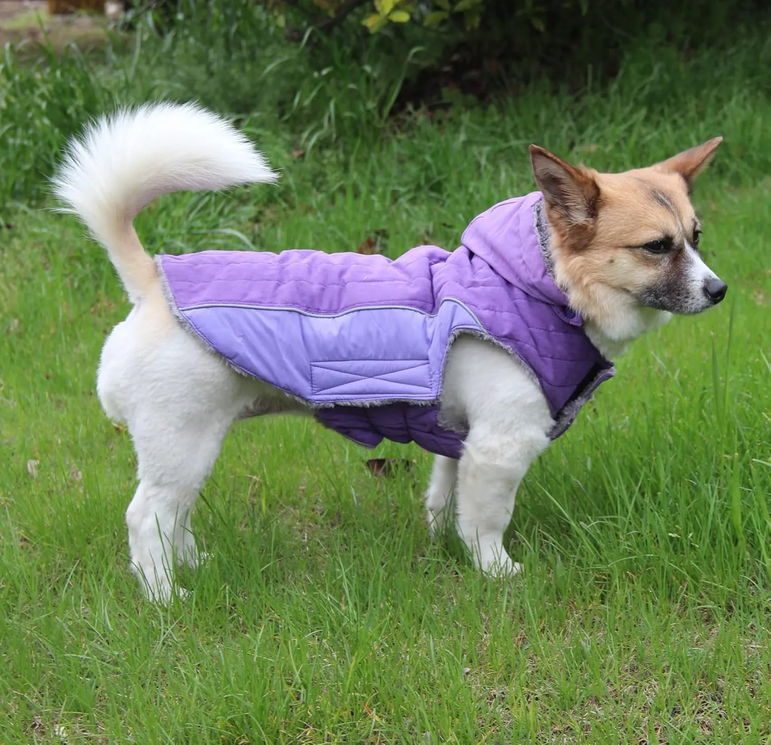 100% Polyester Dog Hoodie for Small Medium Dogs Super Warm Puppy Jacket for Cold Winter Dog Coats, Purple M