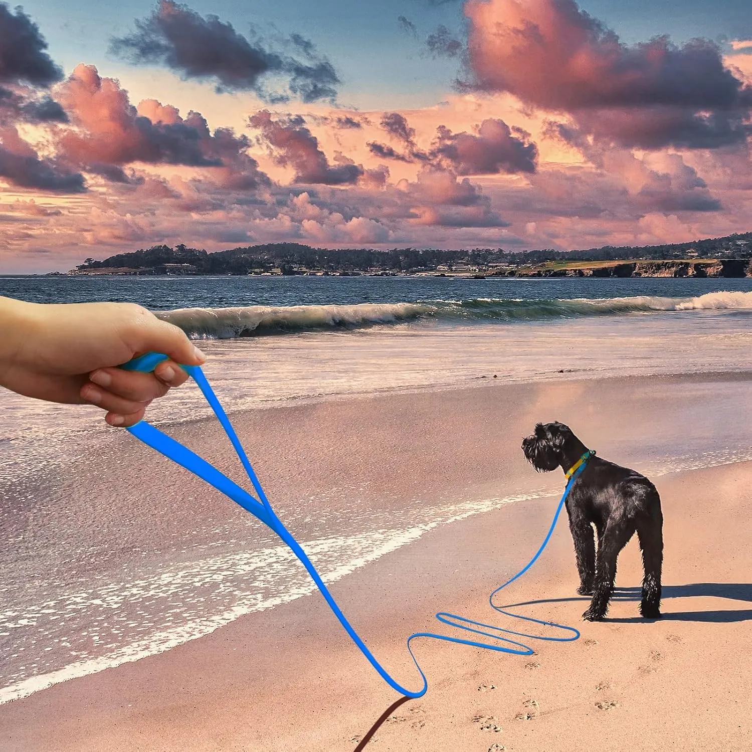 5ft Black Long Leash - Waterproof Training Dog Leash for Recall, Swimming, Camping, Beach, Hunting, Walking