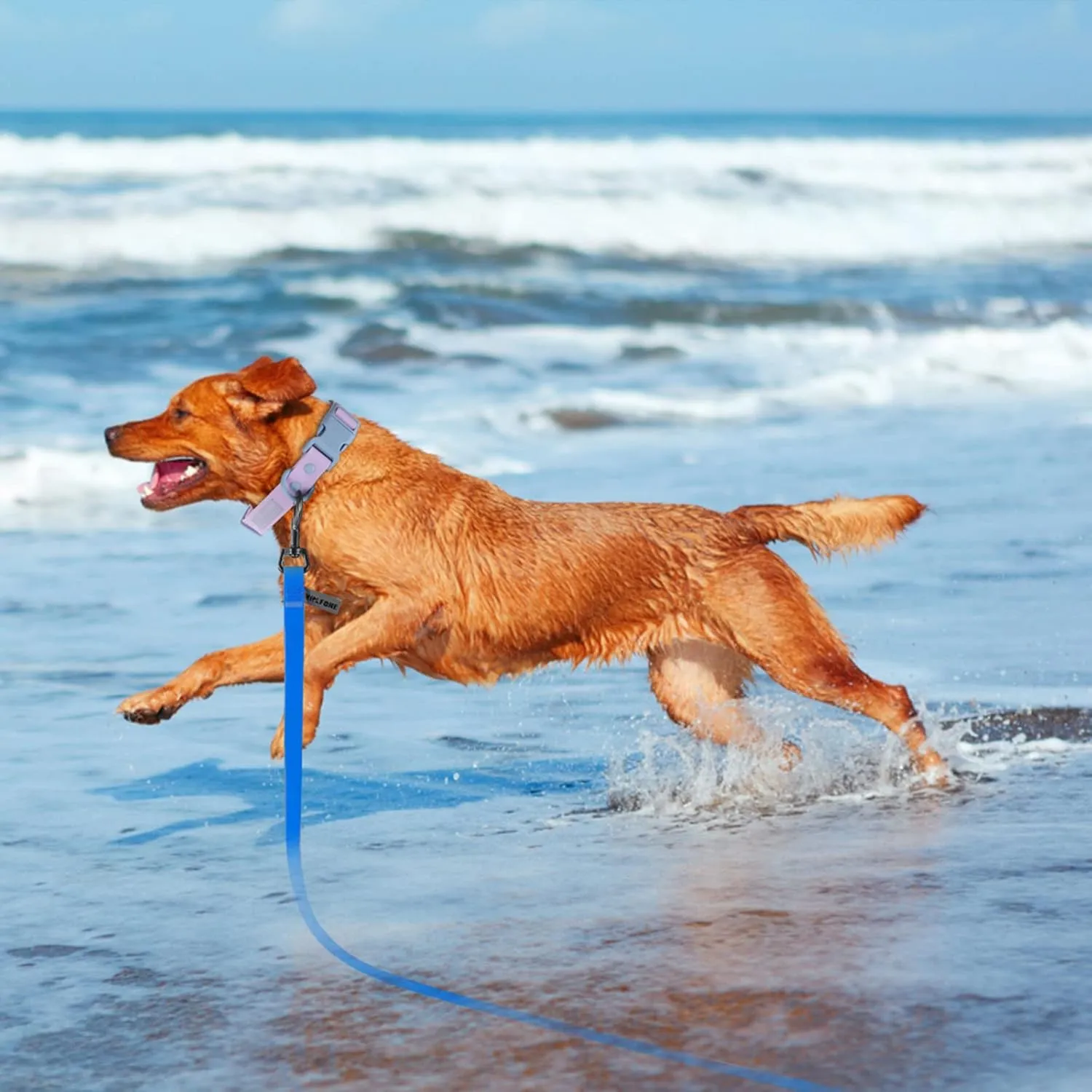 5ft Black Long Leash - Waterproof Training Dog Leash for Recall, Swimming, Camping, Beach, Hunting, Walking