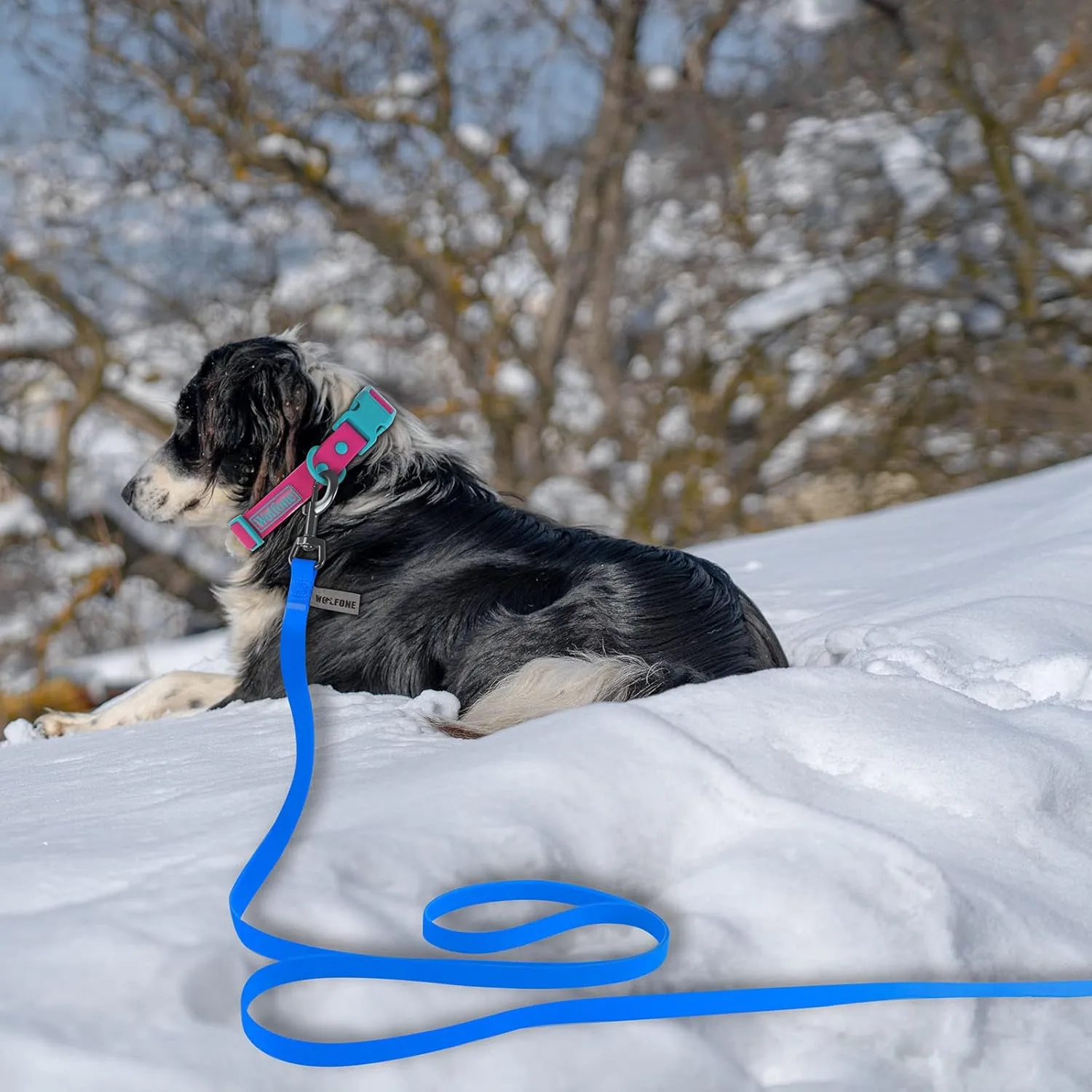 5ft Black Long Leash - Waterproof Training Dog Leash for Recall, Swimming, Camping, Beach, Hunting, Walking