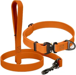 Biothane Bundle: 6 Ft Dog Leash and 1' Dog Collar with Cobra Buckle and QR Dog Tag ID