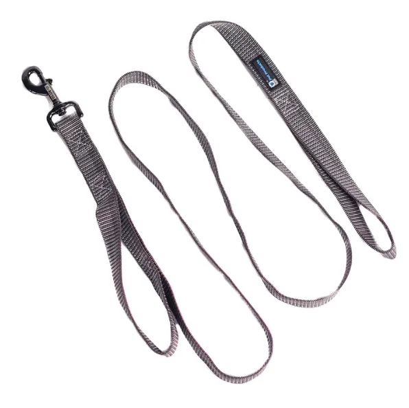 Blue-9 Reflective 6' Leash