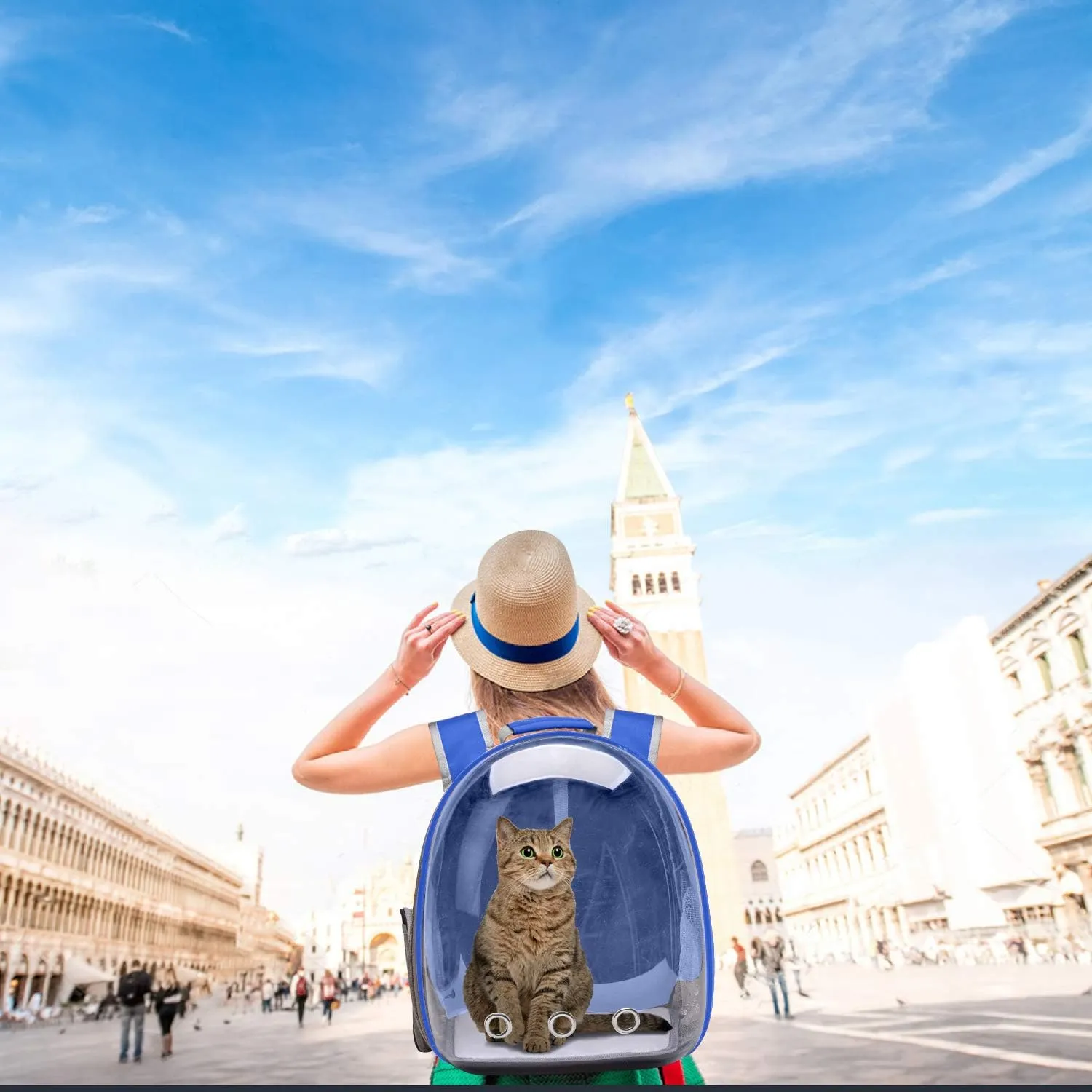 Cat Backpack Carrier Bubble Carrying Bag, Small Dog Backpack Carrier for Small Medium Dogs Cats, Space Capsule Pet Carrier Dog Hiking Backpack, Airline Approved Travel Carrier - Navy Blue