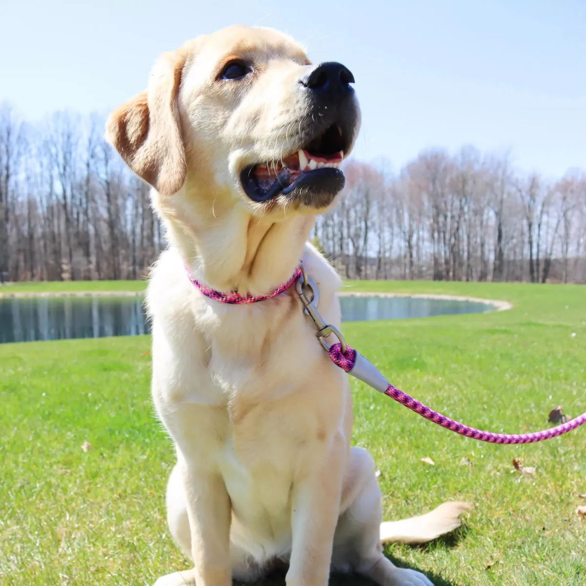 Coastal Pro Active Adjustable Woven Reflective Dog Collar XS Pixel Pink