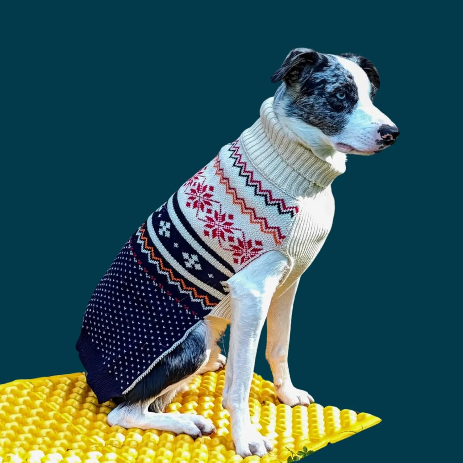 Cozy Acrylic Dog Sweater for Outdoor AdventuresBreathable & Insulating KnitClassic FitBackpacking Gear for DogsDog Hiking GearDog Camping Gear (Large, Nordic)