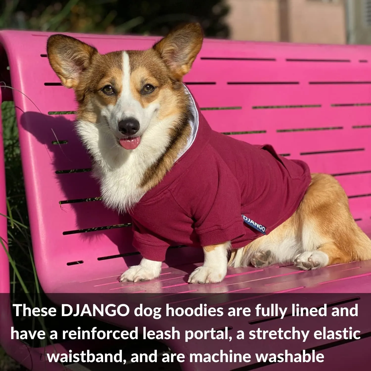 DJANGO Fully Lined Hoodie for Dog - Soft, Stretchy, and Cozy Sweatshirts for Dogs - Burgundy Red Winter Dog Sweaters for Dachshunds and Small Dogs - Warm Dog Hoodie X-Small with Elastic Waistband