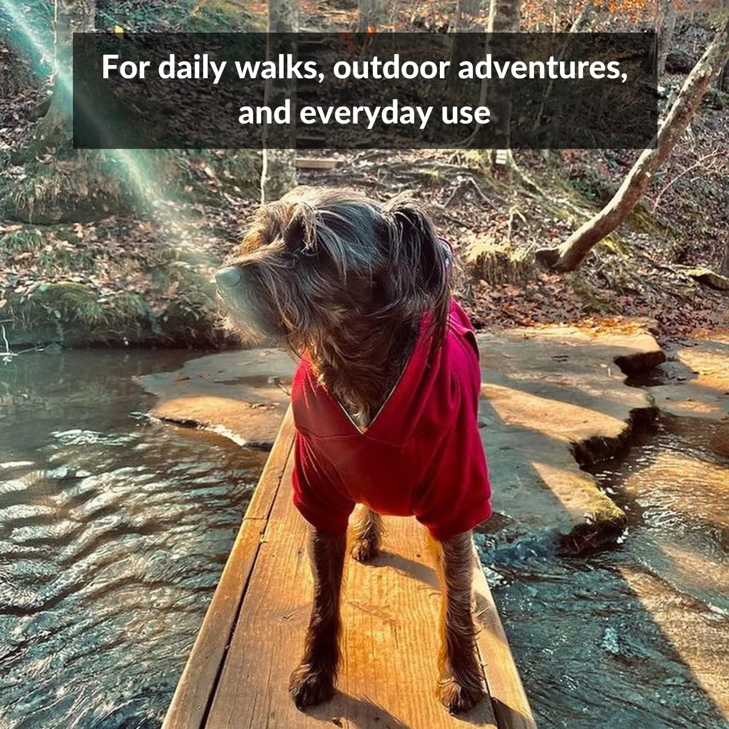 DJANGO Fully Lined Hoodie for Dog - Soft, Stretchy, and Cozy Sweatshirts for Dogs - Burgundy Red Winter Dog Sweaters for Dachshunds and Small Dogs - Warm Dog Hoodie X-Small with Elastic Waistband
