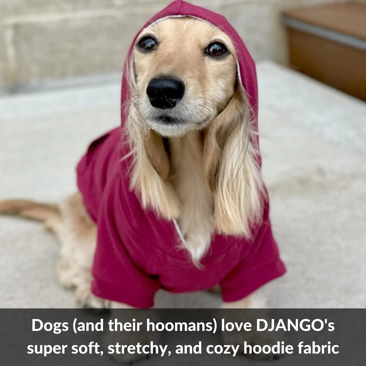 DJANGO Fully Lined Hoodie for Dog - Soft, Stretchy, and Cozy Sweatshirts for Dogs - Burgundy Red Winter Dog Sweaters for Dachshunds and Small Dogs - Warm Dog Hoodie X-Small with Elastic Waistband