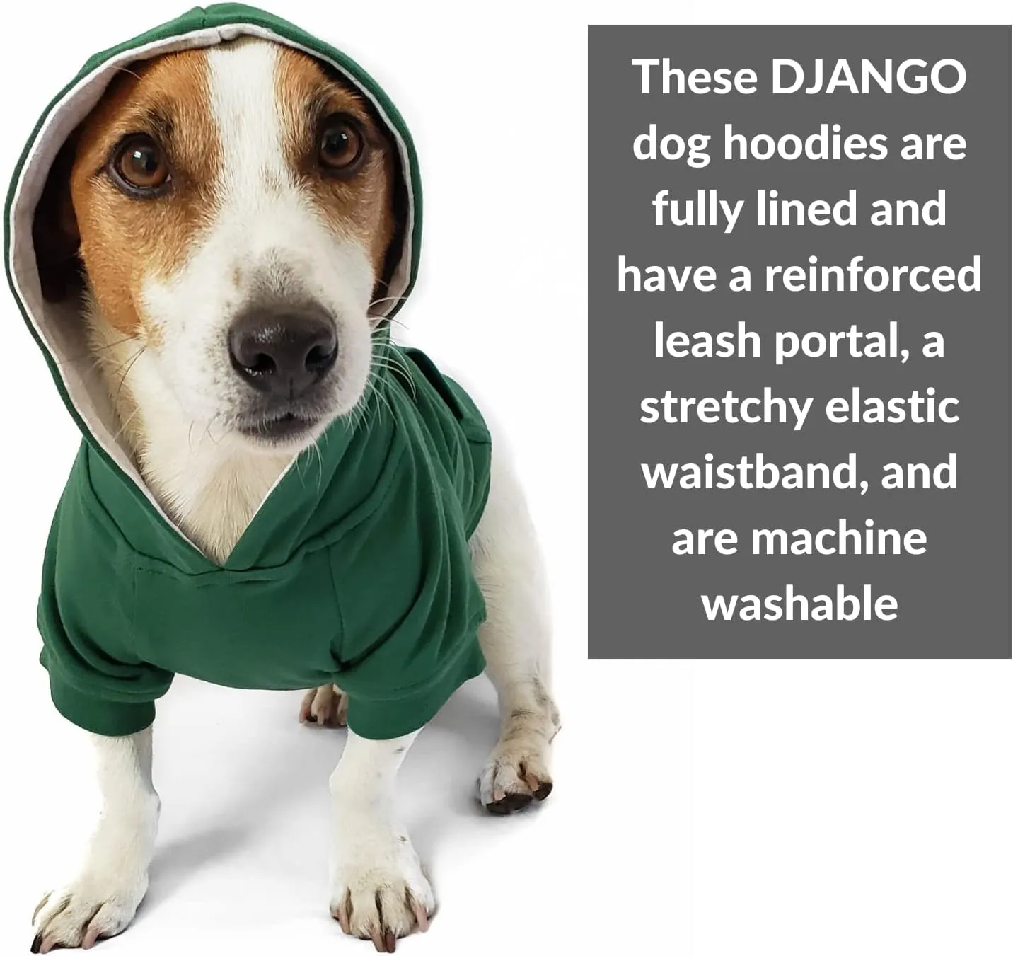 DJANGO Fully Lined Hoodie for Dog - Soft, Stretchy, and Cozy Sweatshirts for Dogs - Forest Green Winter Dog Sweaters for Dachshunds and Small Dogs - Warm Dog Hoodie X-Small with Elastic Waistband