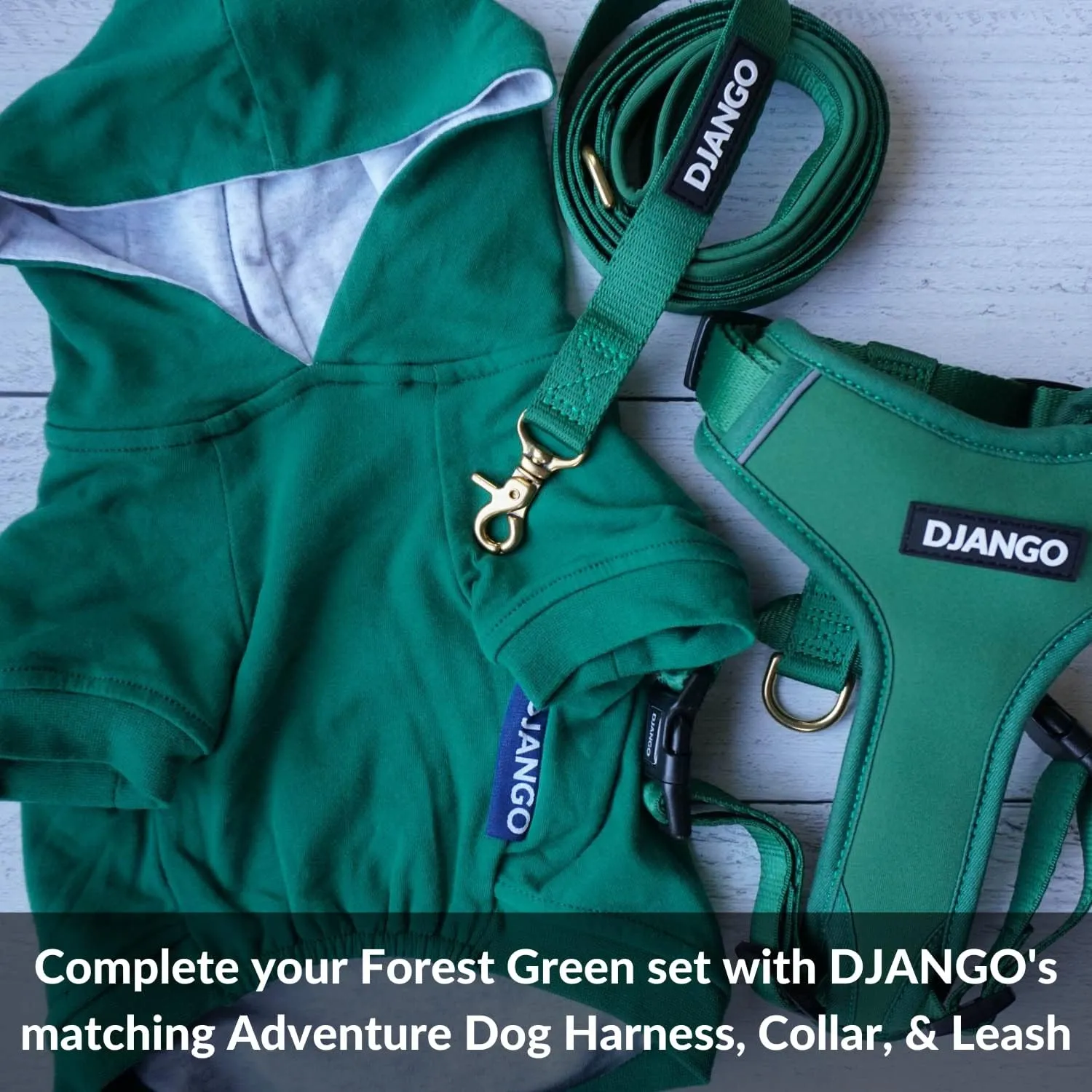 DJANGO Fully Lined Hoodie for Dog - Soft, Stretchy, and Cozy Sweatshirts for Dogs - Forest Green Winter Dog Sweaters for Dachshunds and Small Dogs - Warm Dog Hoodie X-Small with Elastic Waistband