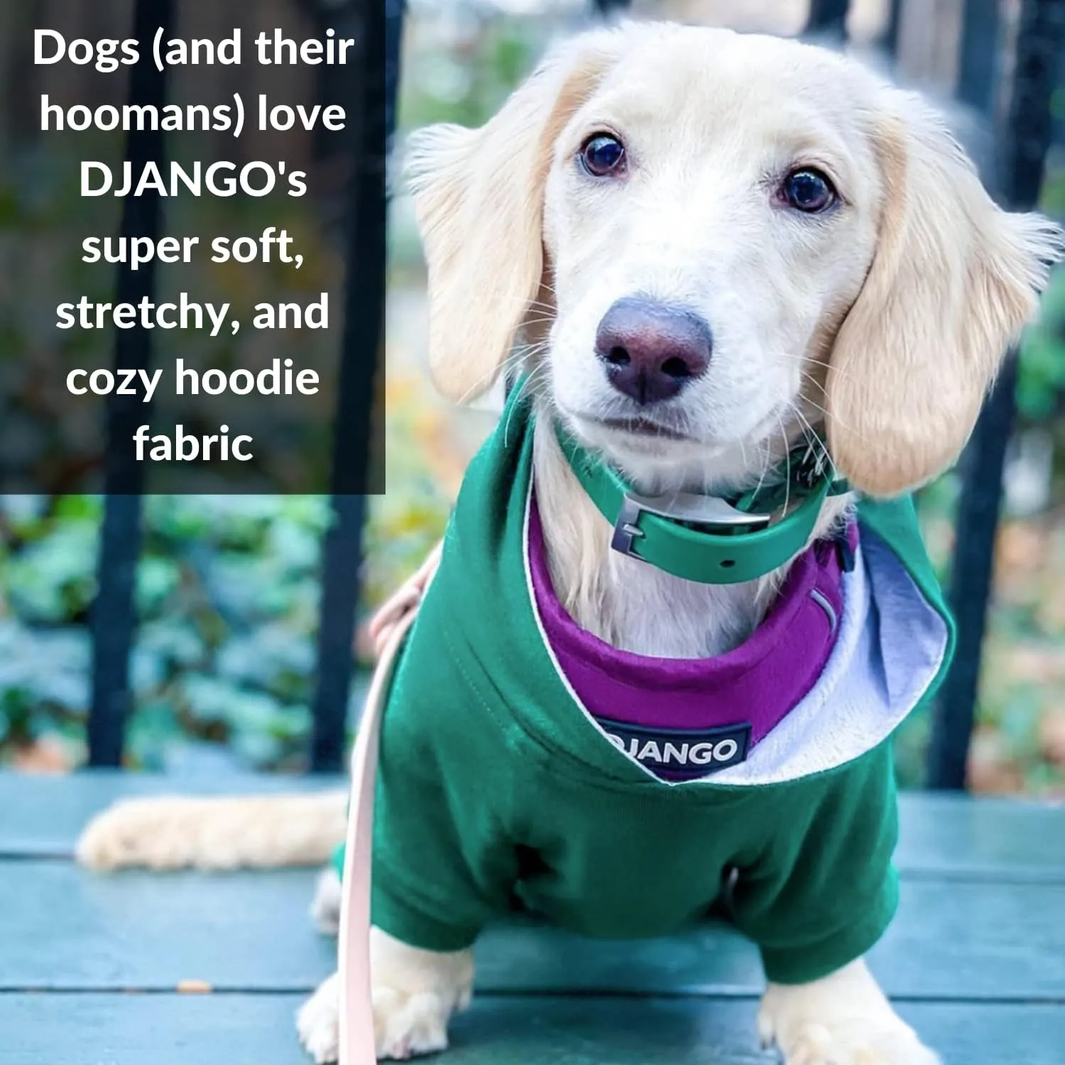 DJANGO Fully Lined Hoodie for Dog - Soft, Stretchy, and Cozy Sweatshirts for Dogs - Forest Green Winter Dog Sweaters for Dachshunds and Small Dogs - Warm Dog Hoodie X-Small with Elastic Waistband