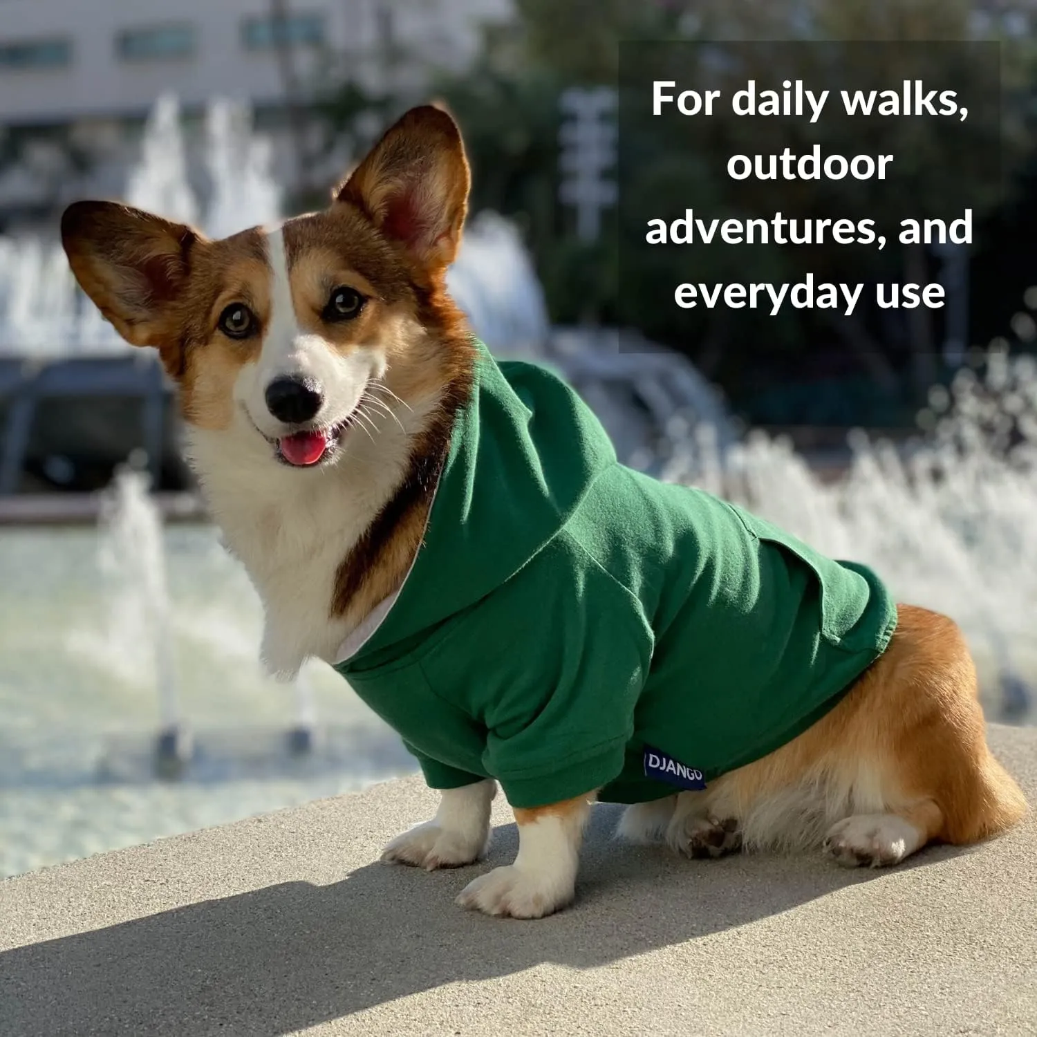 DJANGO Fully Lined Hoodie for Dog - Soft, Stretchy, and Cozy Sweatshirts for Dogs - Forest Green Winter Dog Sweaters for Dachshunds and Small Dogs - Warm Dog Hoodie X-Small with Elastic Waistband