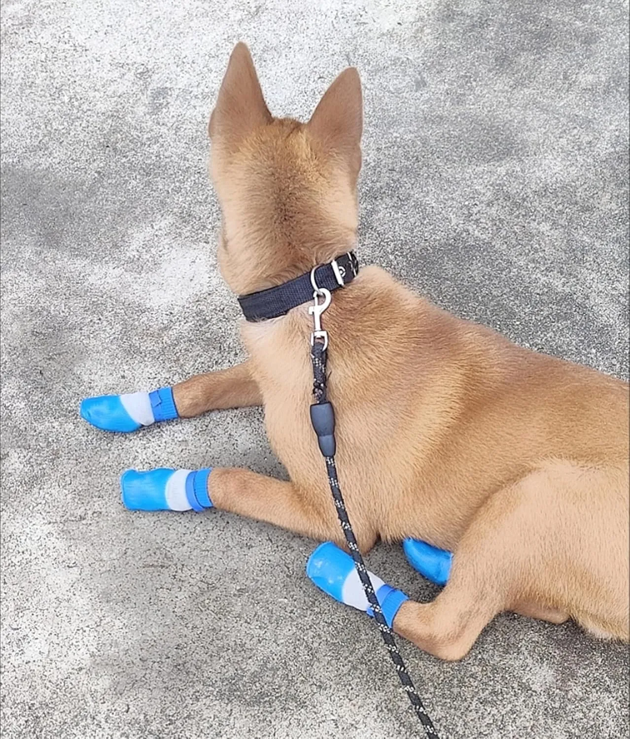 Dog Shoes,Waterproof Anti-Slip Pet Socks,Wear-Resistant Outdoor Booties with Rubber Soles for Hiking and Running_M(Blue), Medium