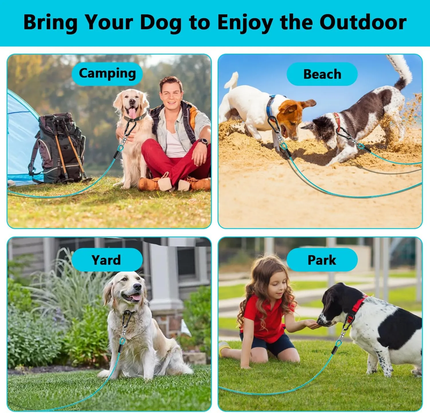 Dog Tie Out Cable 50FT-500Lbs,Heavy Duty Dog Leads Line for Yard with Swivel Hook,Medium Large Dogs Leash&Chains for Outside,Rust Chew Proof Dogs Run Cable for Outdoor Camping(Teal, 50FT)