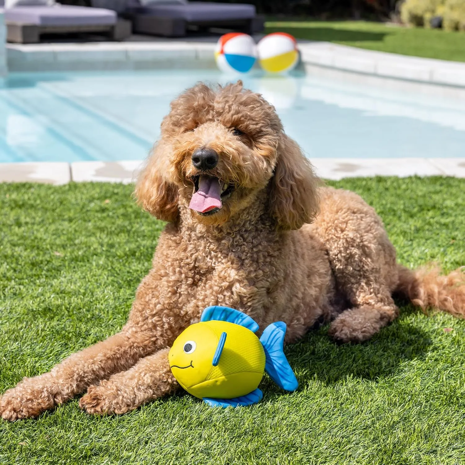 Fringe Studio "PIPSQUEAK Floating Dog Toys, Pet Shop Collection (640005)