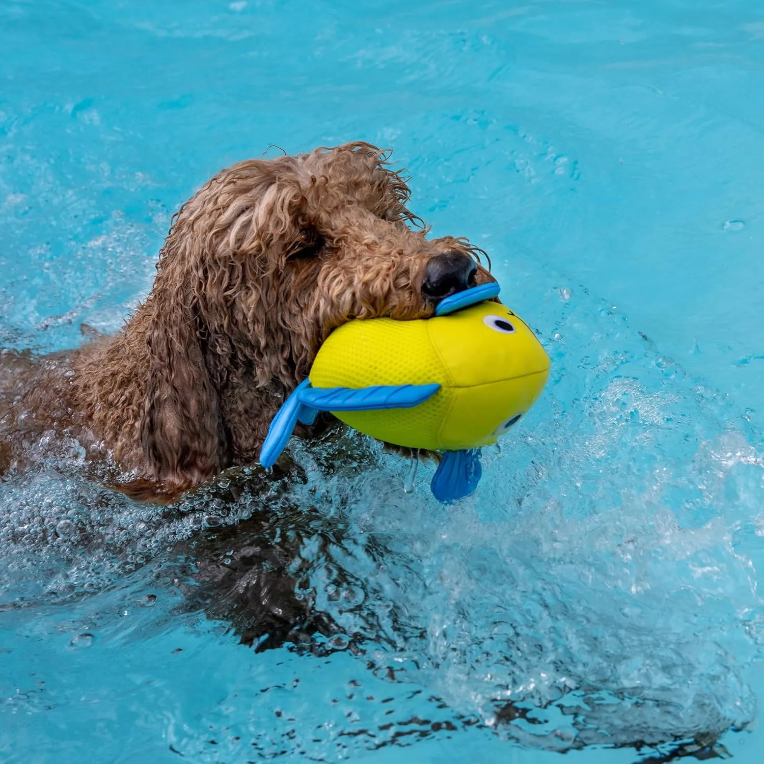 Fringe Studio "PIPSQUEAK Floating Dog Toys, Pet Shop Collection (640005)