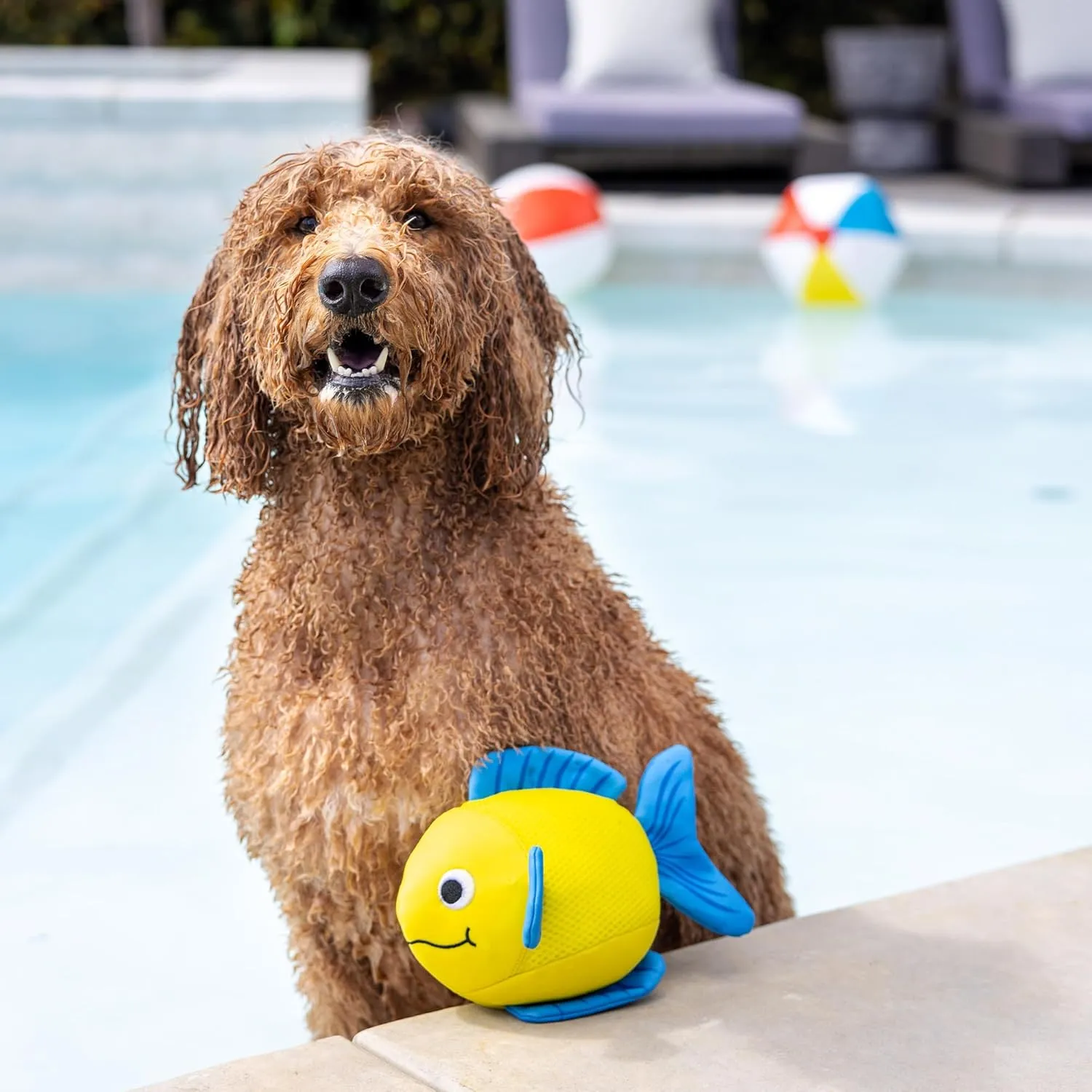 Fringe Studio "PIPSQUEAK Floating Dog Toys, Pet Shop Collection (640005)