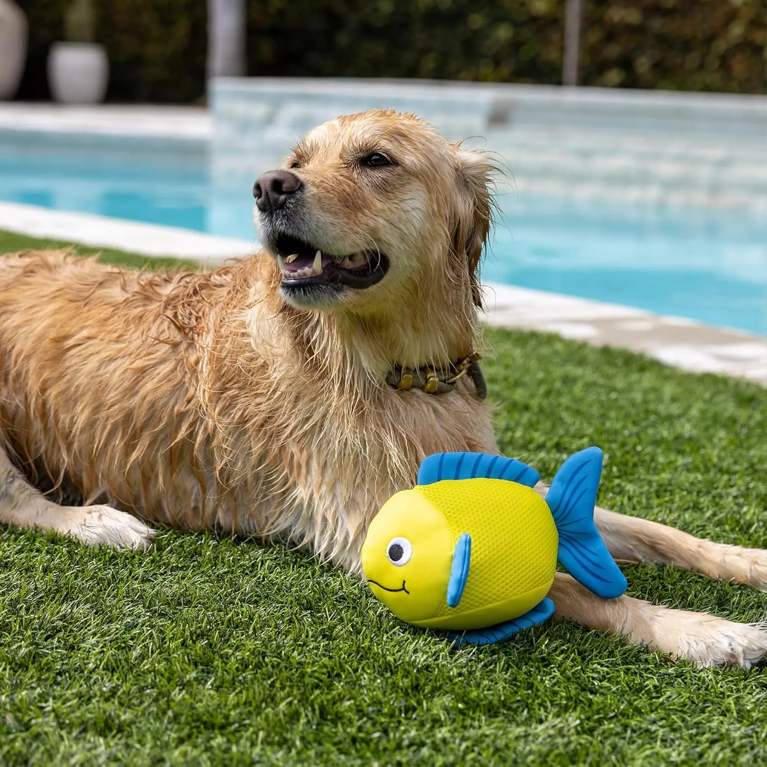 Fringe Studio "PIPSQUEAK Floating Dog Toys, Pet Shop Collection (640005)