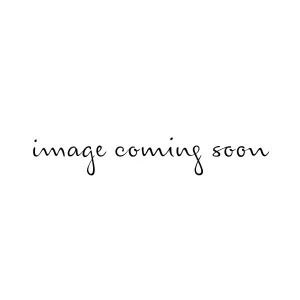 Howlidays Small Breed Dog Harness