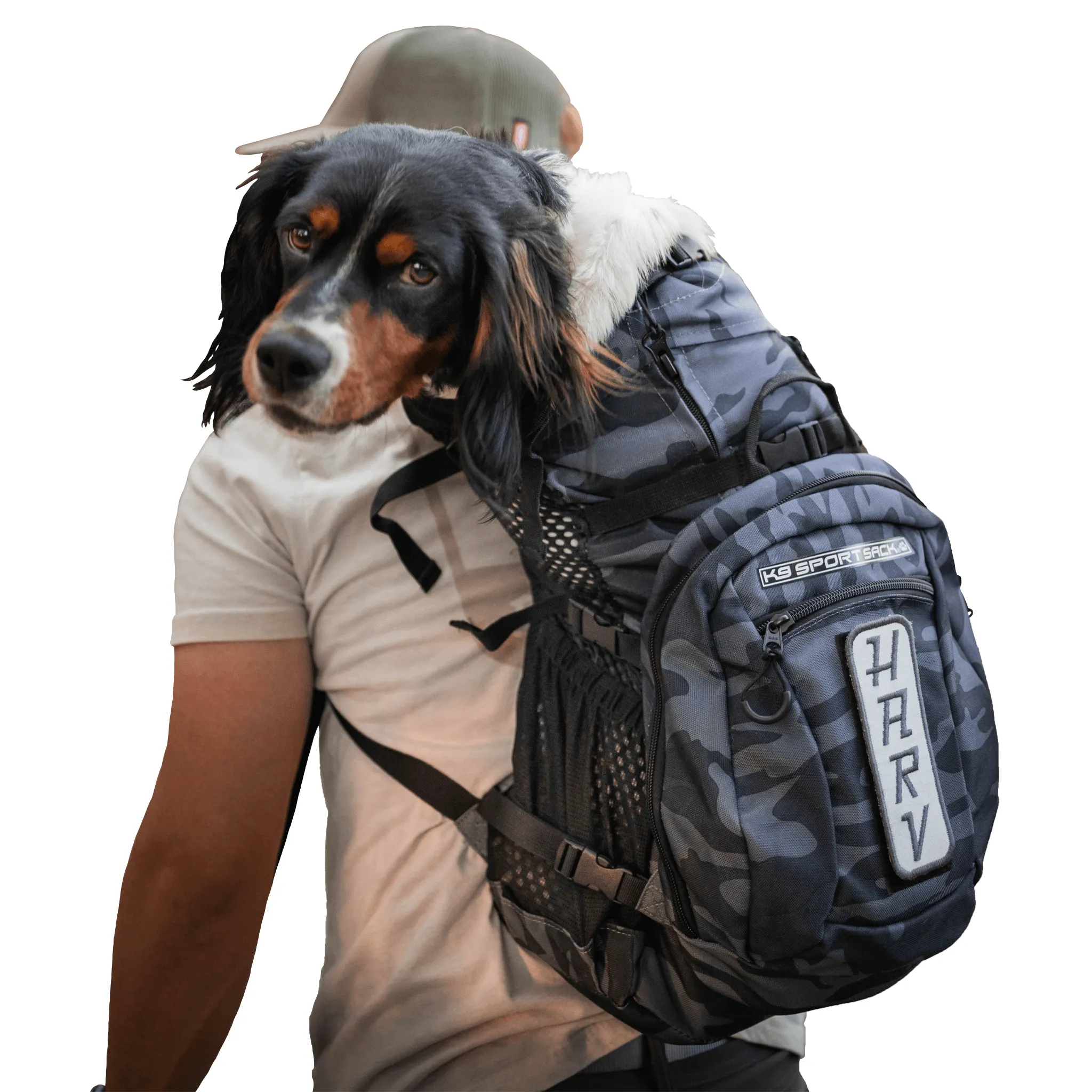 K9 Sport Sack Plus 2