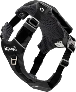 Kurgo Stash n Dash Dog Harness, Lightweight Vest Harness for Dogs, Pet Harness with Pocket, Folds into a Pouch, for Running, Hiking, Reflective, Black (Medium)