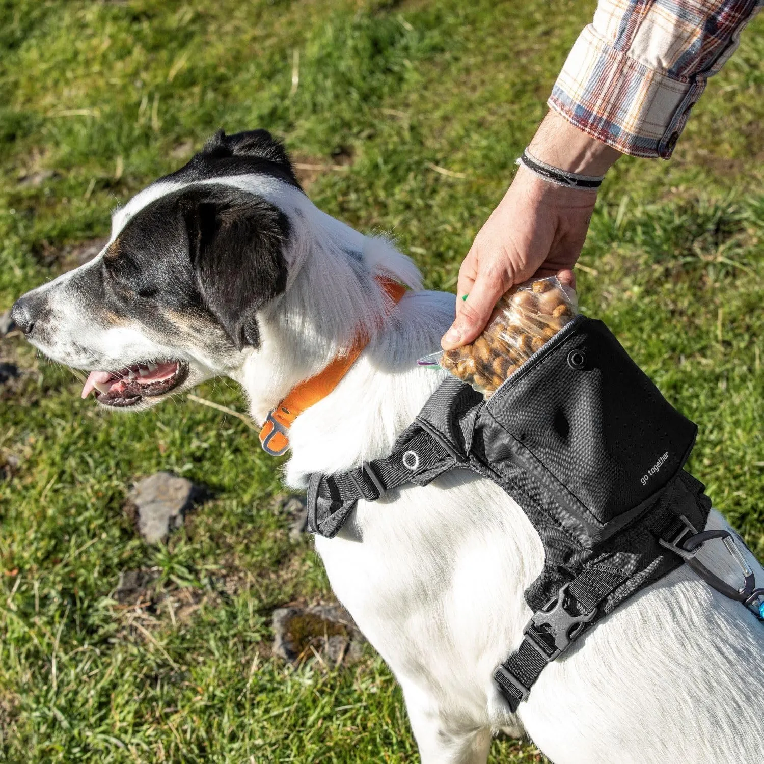 Kurgo Stash n Dash Dog Harness, Lightweight Vest Harness for Dogs, Pet Harness with Pocket, Folds into a Pouch, for Running, Hiking, Reflective, Black (Medium)