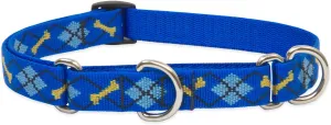 LupinePet Originals 3/4" Dapper Dog 10-14" Martingale Collar for Small Dogs