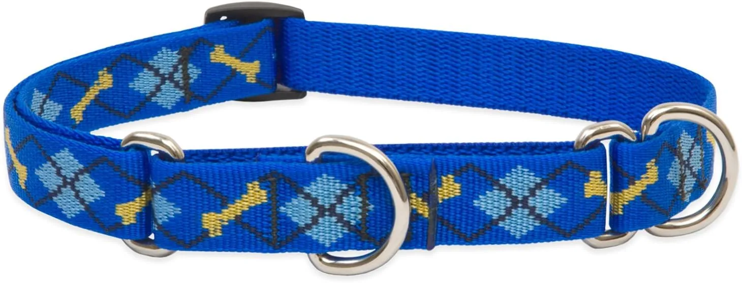 LupinePet Originals 3/4" Dapper Dog 10-14" Martingale Collar for Small Dogs