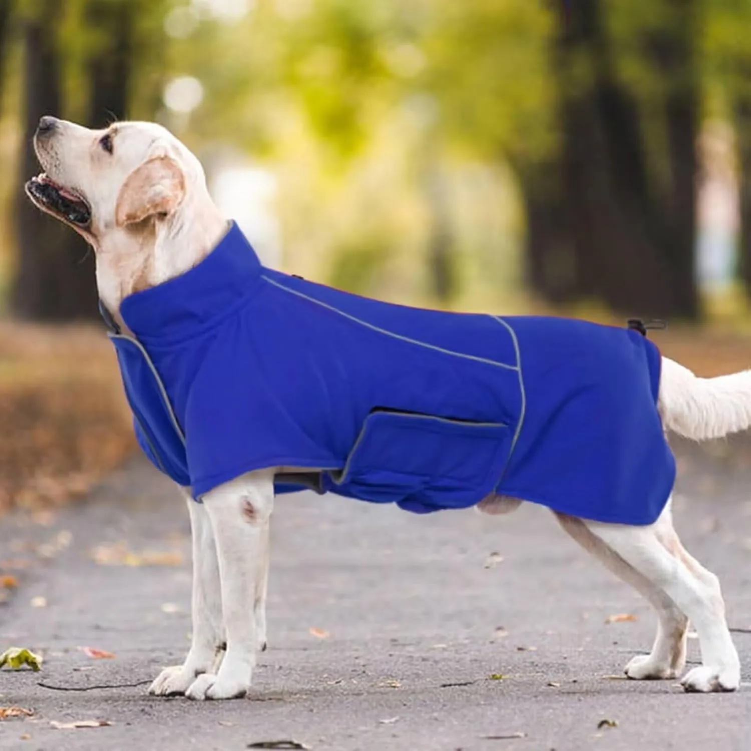 MIGOHI XXL Dog Jacket - Waterproof Winter Coat for Boys & Girls - Blue, Perfect for Golden Retriever & Weimaraner, Hiking & Camping