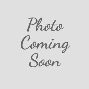 Navy Blue Nylon Webbing Dog Harness - 804