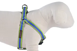 Neon Green/Purple Stripe Sale Dog Harness - 316