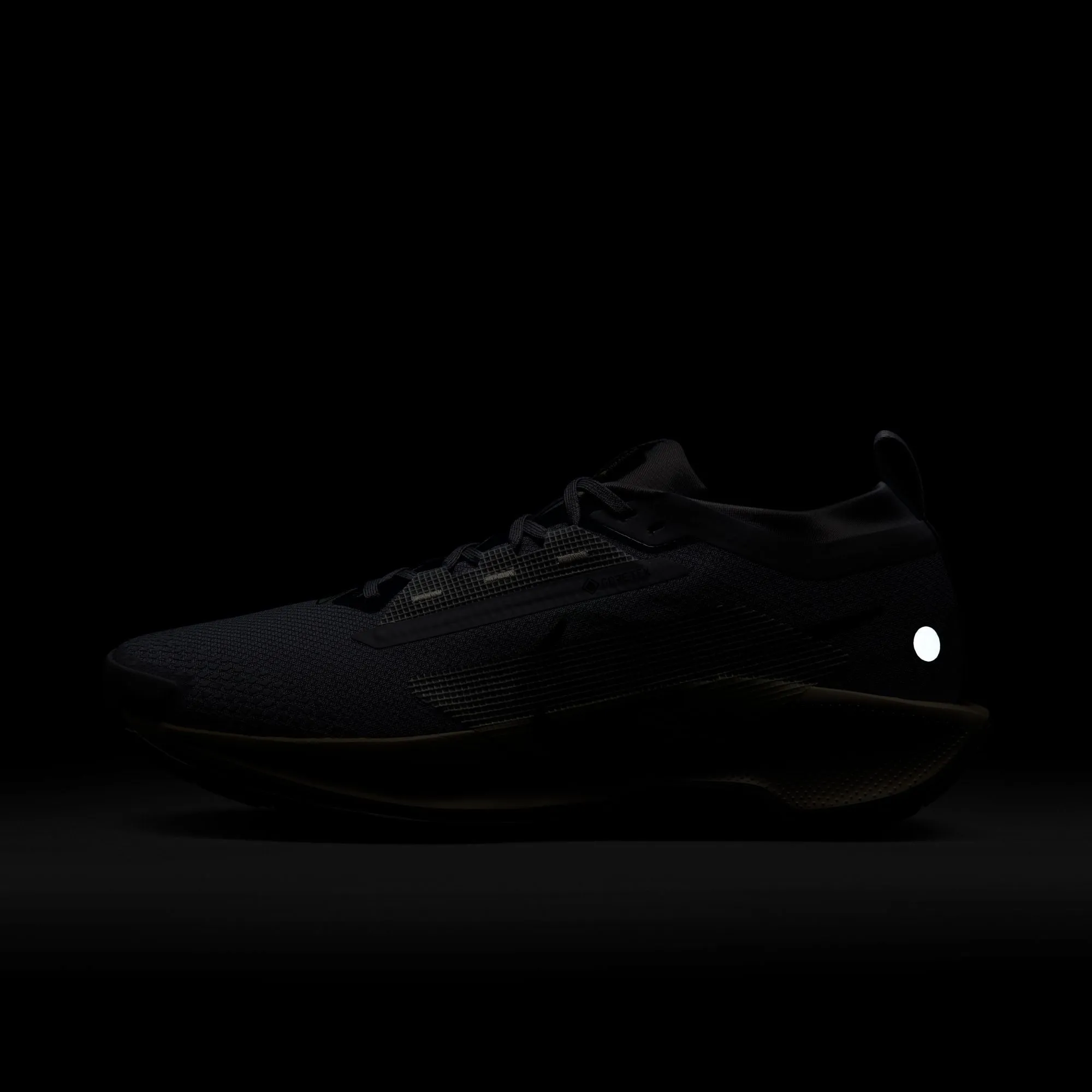 Nike Pegasus Trail 5 GORE-TEX | Cement Grey / Midnight Navy / Jade Horizon | Mens