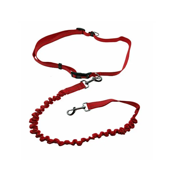 Pet Dog Running Leash