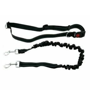 Pet Dog Running Leash