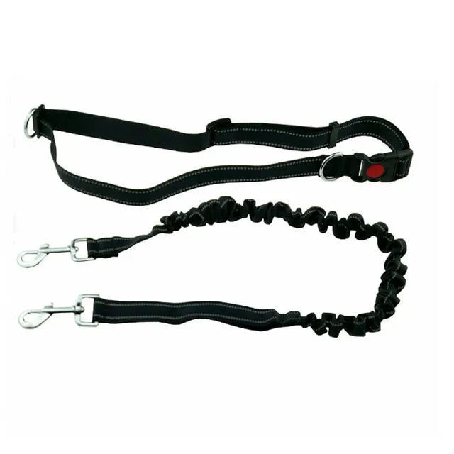 Pet Dog Running Leash