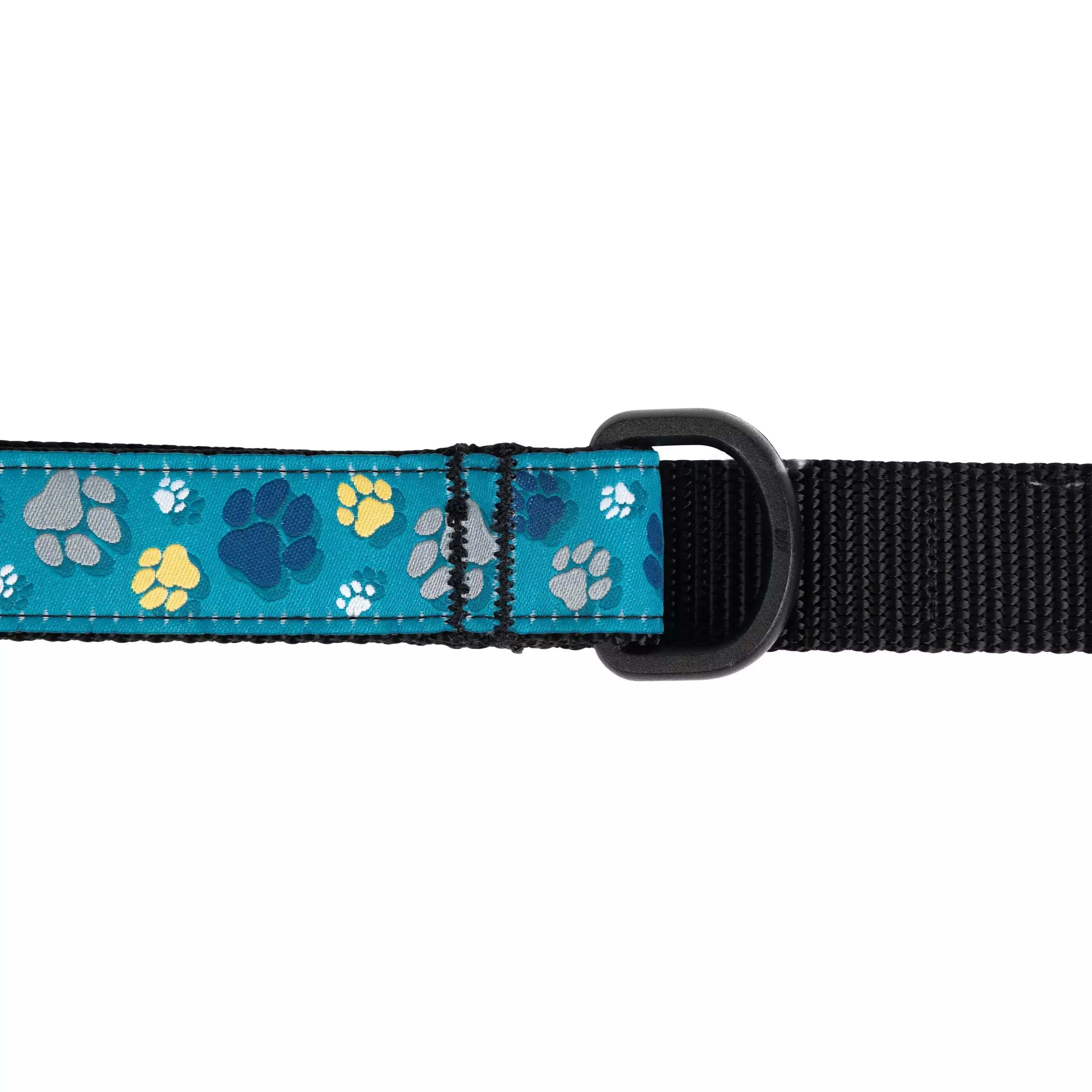 RC Dog Leash Multi Stripes