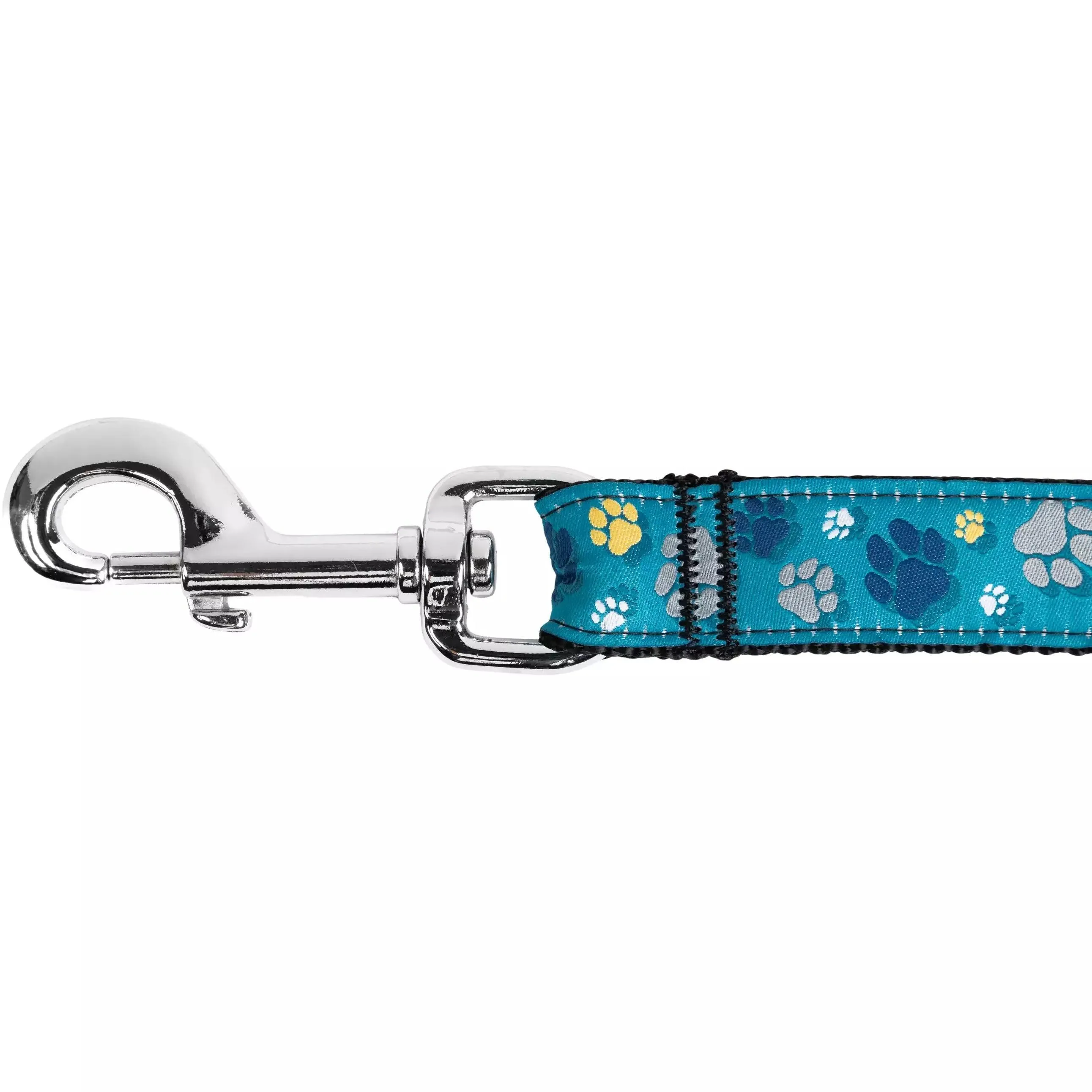 RC Dog Leash Multi Stripes