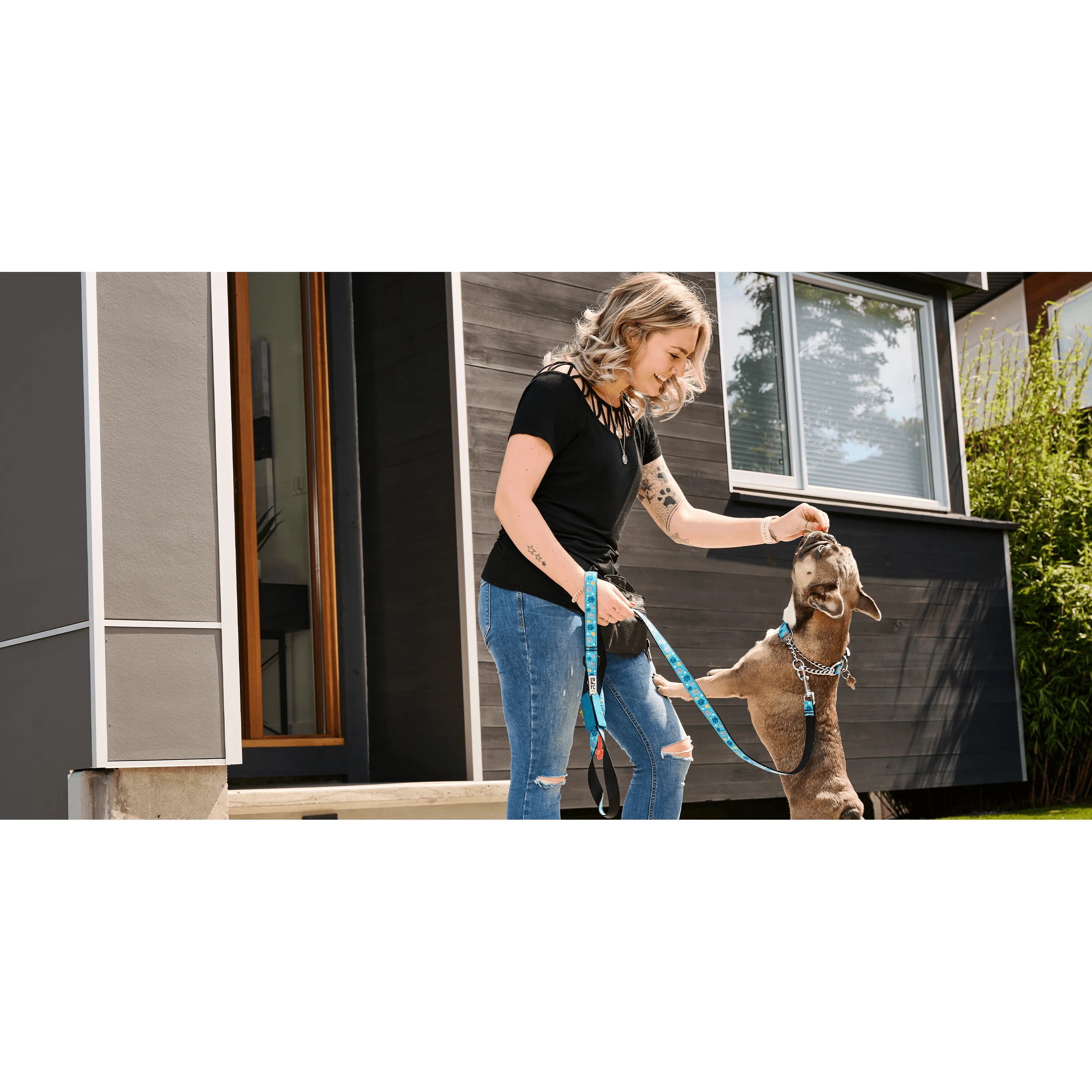 RC Dog Leash Multi Stripes