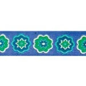 RC Pets - Leash - 4 ft - CLEARANCE ON SELECT PATTERNS 50% OFF!