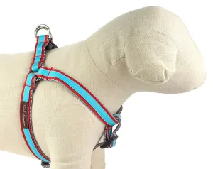 Red/Aqua Dog Harness - 330