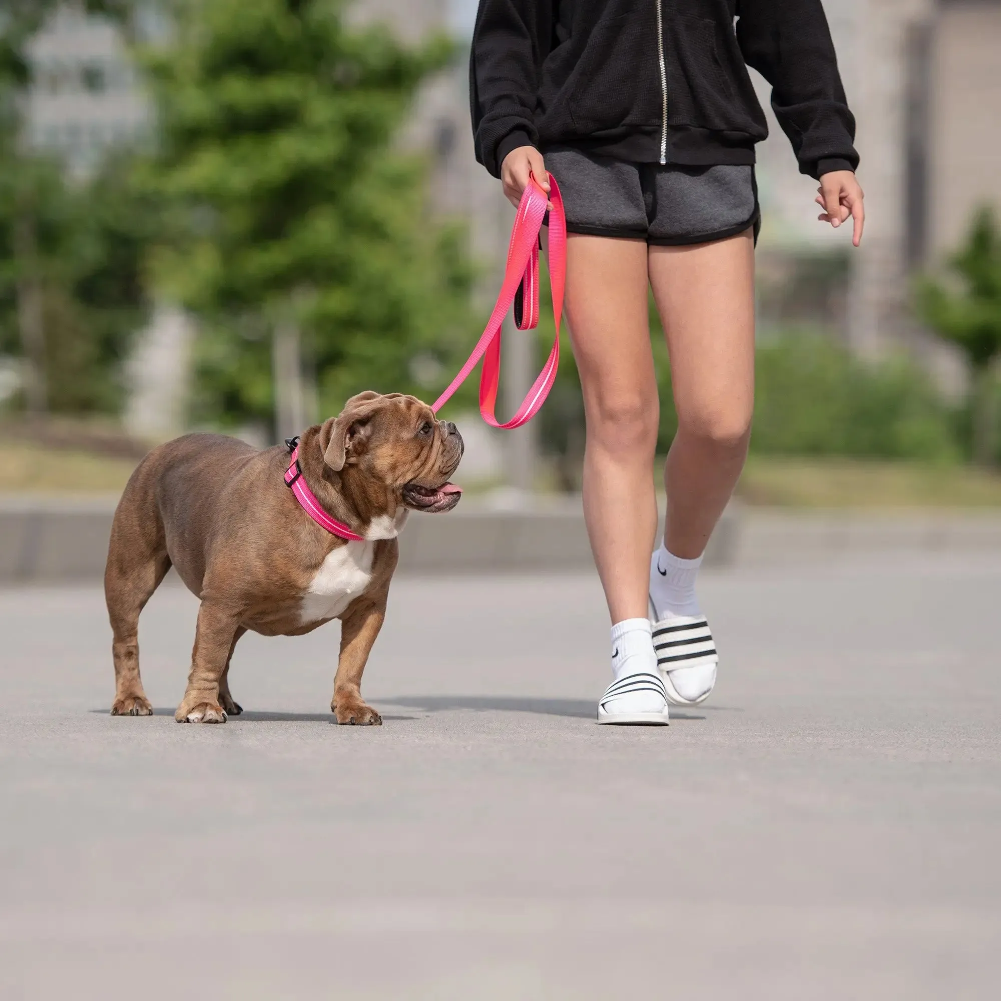 Reflective Dog Leash | Neon Pink