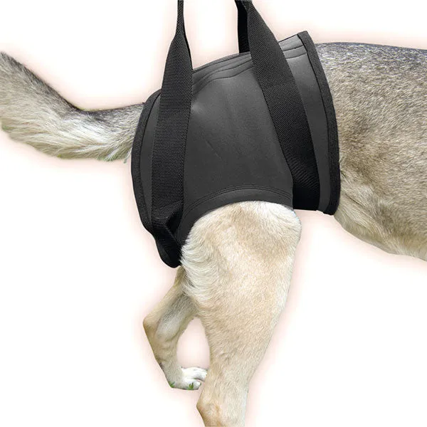 Rehabilitation Harness – Hind