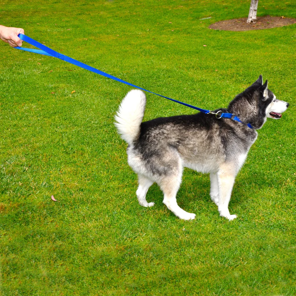 WalkyDog Universal Bicycle Leash & Harness Bundle