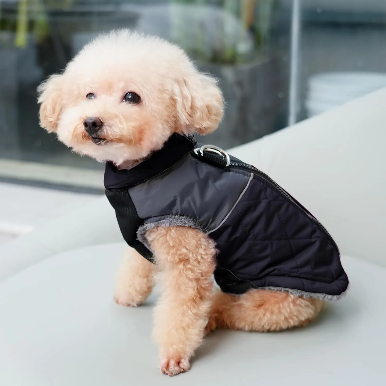 Warm Fleece Dog Coats for Large Dogs,D-Rings Waterproof Puppy Jacket for Cold Winter,Black XXL