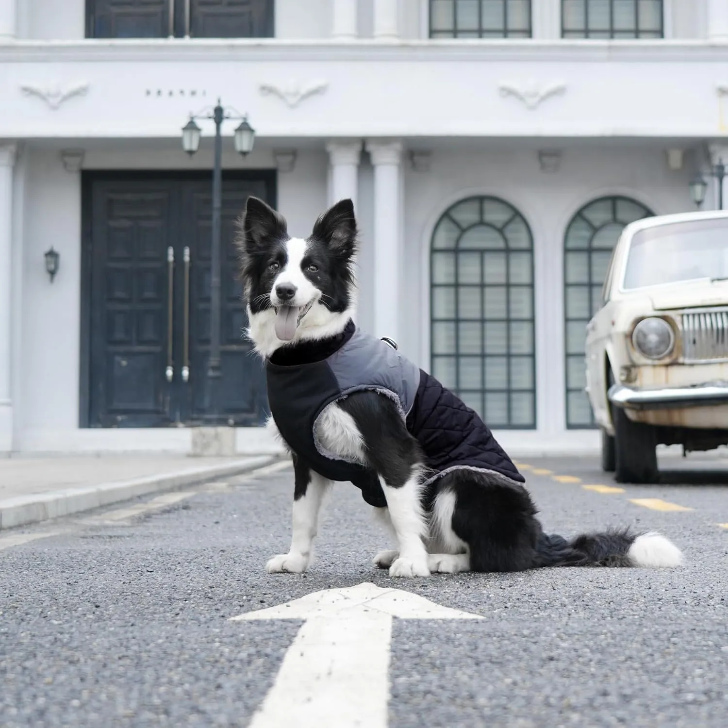 Warm Fleece Dog Coats for Large Dogs,D-Rings Waterproof Puppy Jacket for Cold Winter,Black XXL