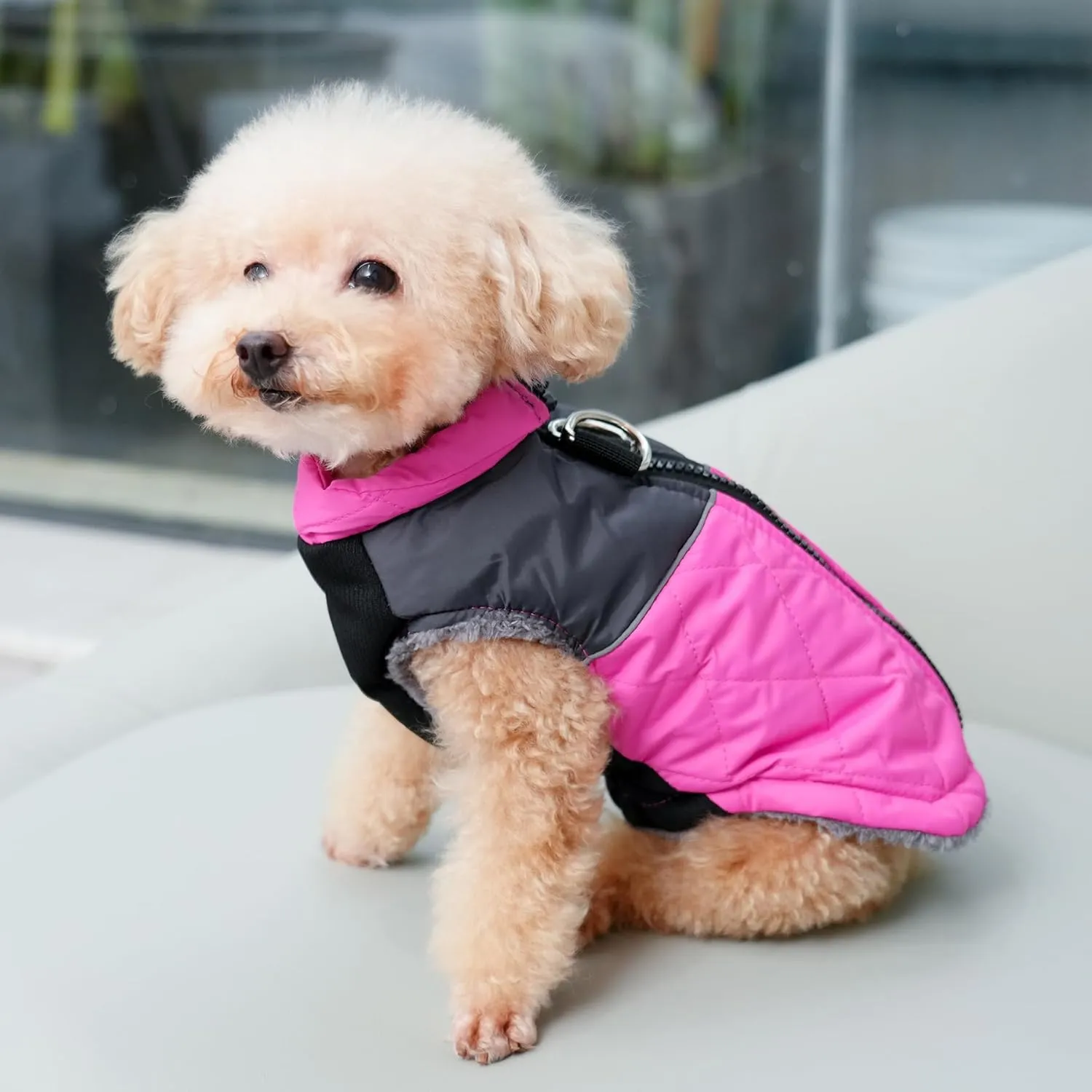 Warm Fleece Dog Coats for Large Dogs,D-Rings Waterproof Puppy Jacket for Cold Winter,Pink XXL