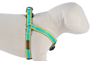 Yellow/Turquoise Stripe Dog Harness - 318